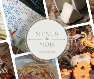 idées de menus - novembre - couge - champignon - automne - quiche -fromage