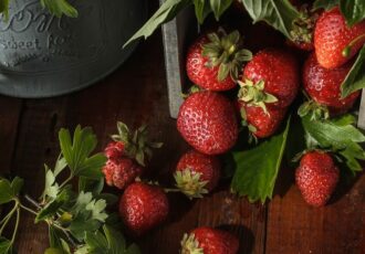 Faire une confiture de fraises comme Christine Ferber - fraises et branches