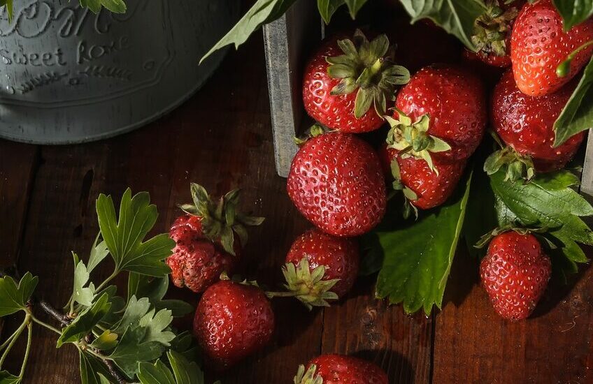 Faire une confiture de fraises comme Christine Ferber - fraises et branches